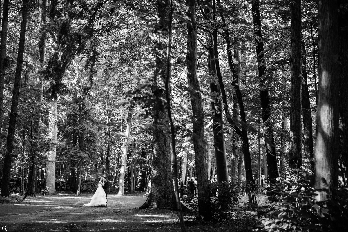 Hochzeit Wald