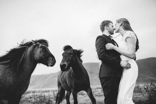 Hochzeit mit Pferden