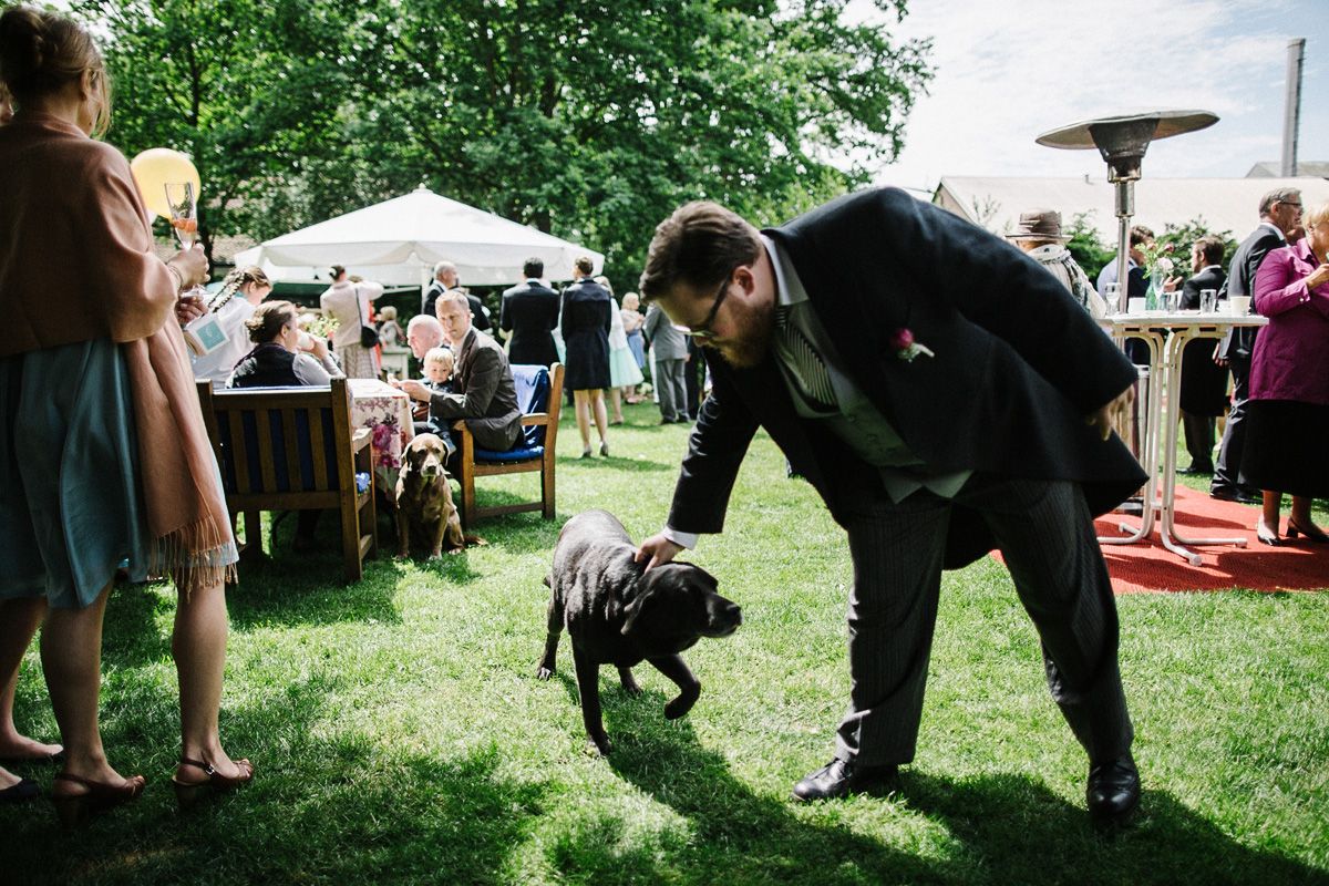 Hochzeit hund