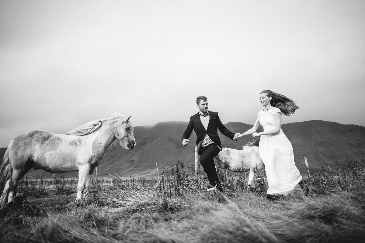 Iceland wedding, Island shooting, horses photos