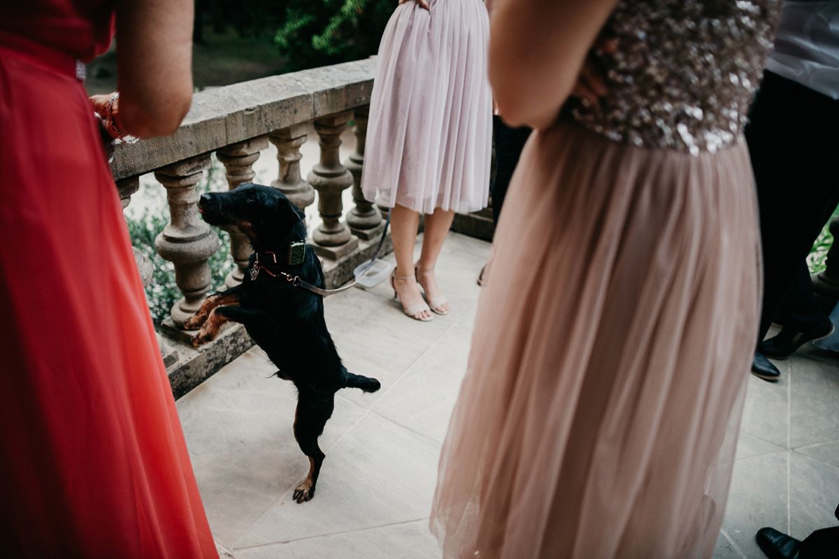 Hochzeit auf Schloss Eldingen