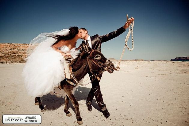 wedding photos with donkey